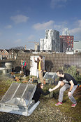 Rotterdamse Dakendagen: Je kunt het dak op!