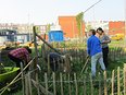 Jongeren van de Wijkschool Feijenoord bezig in de tuin van Creatief Beheer in Afrikaanderwijk